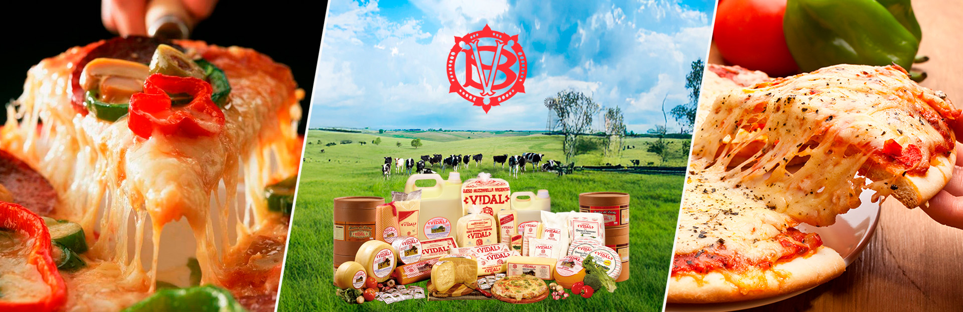 Quesos Lácteos Vidal elaborados en Argentina con leche fresca y tecnología de punta desde 1966. Buenos Aires.